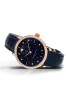 náhled Frederique Constant Moonphase Stars Manufacture FC-701NSD3SD4