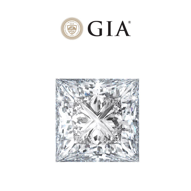 detail Diamant 1,02ct E/VS1 GIA Certifikát