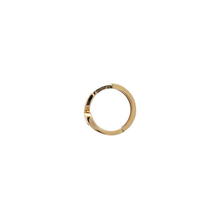 detail Zlaté Kruhové Náušnice se Zirkony