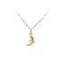 Pendant with moon motif in fine design