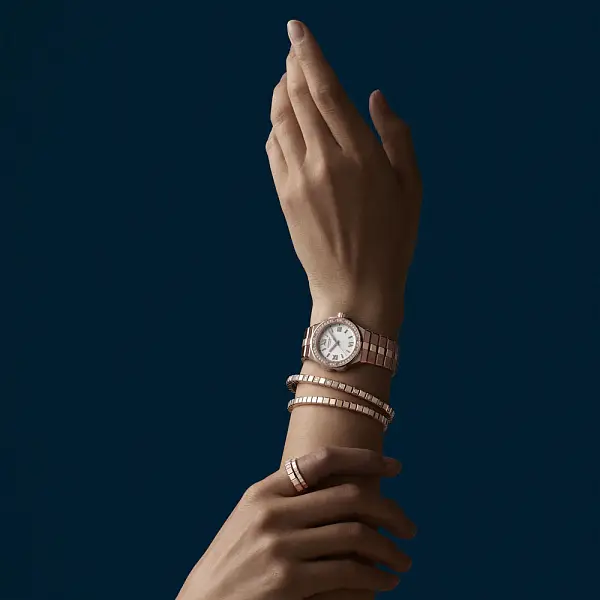 Chopard Alpine Eagle 295384-5001