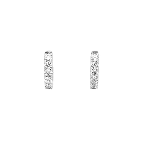 Zlaté Náušnice s Diamanty