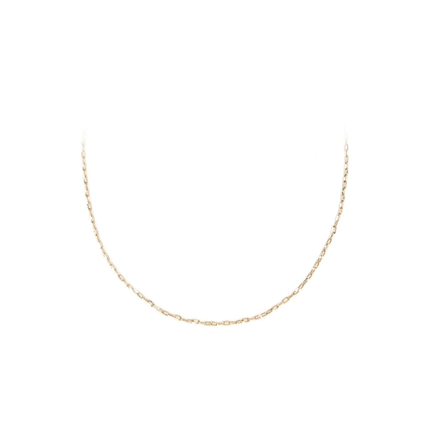 Golden Anker Chain