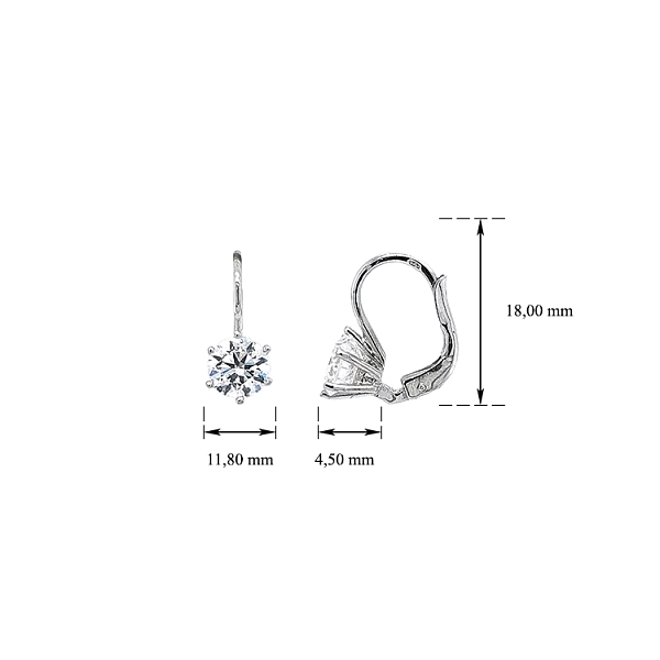Earrings with White Gold Zircons