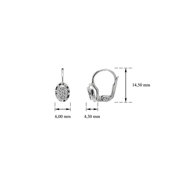 Náušnice se Zirkony z Bílého Zlata