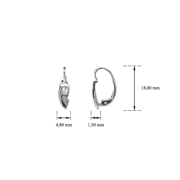 Náušnice se Zirkony z Bílého Zlata
