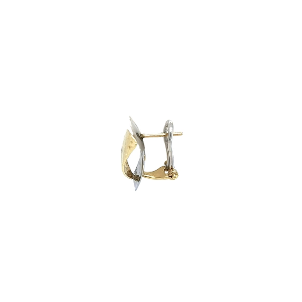 Earrings made of Combination Gold