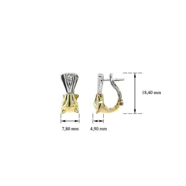 Náušnice se Zirkony z Kombinovaného Zlata