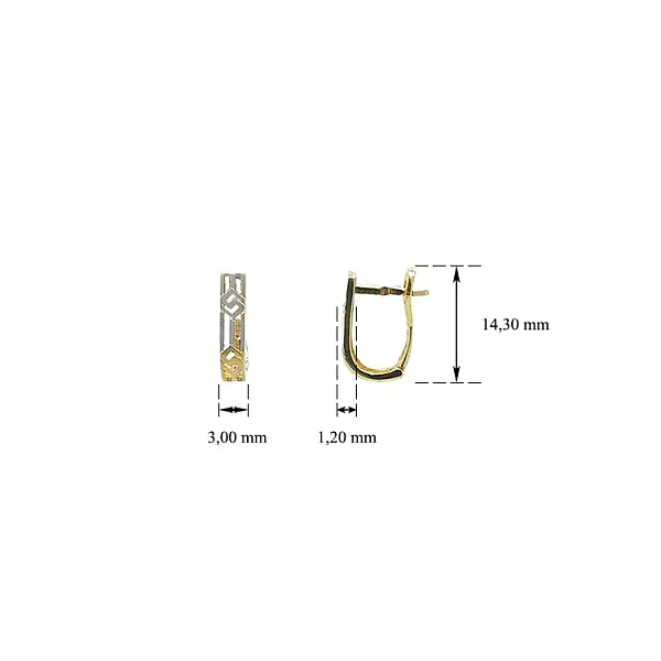 Náušnice z Kombinovaného Zlata