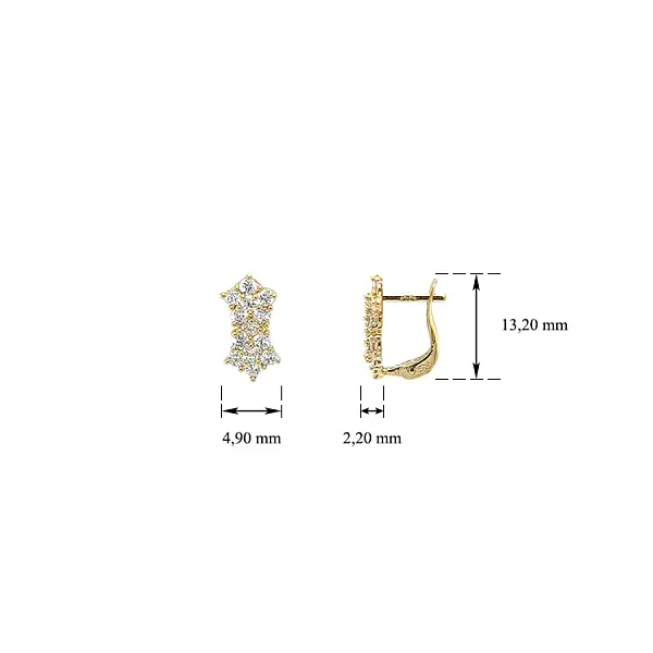 Zlaté Náušnice se Zirkony