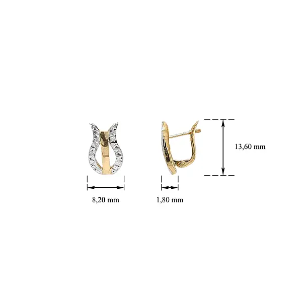 Náušnice z Kombinovaného Zlata