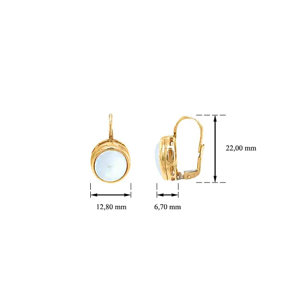 Zlaté Náušnice s Opály