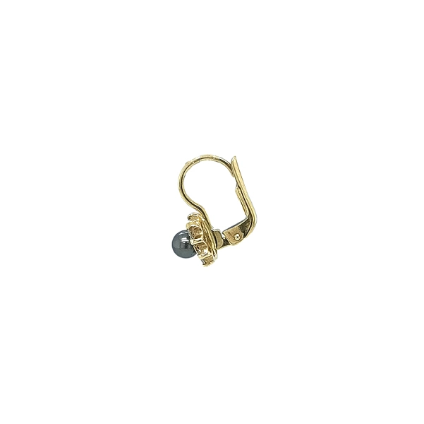 Gold Earrings with Pearl and Zircones