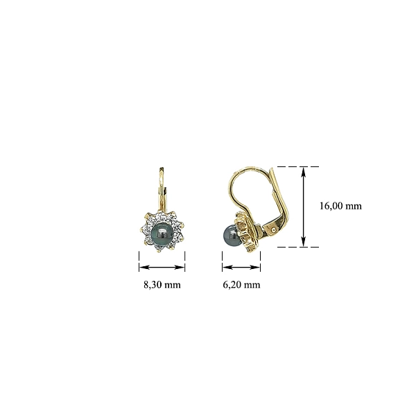 Gold Earrings with Pearl and Zircones