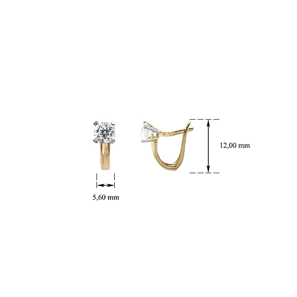 Gold Earrings with Zircons