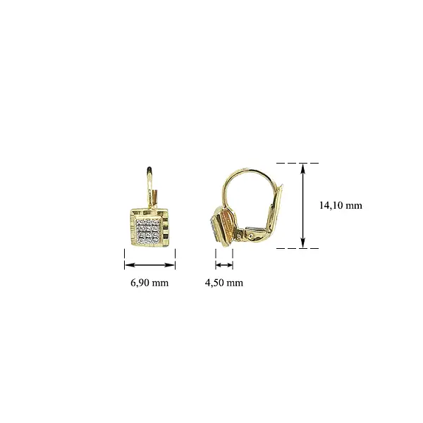 Zlaté Náušnice se Zirkony