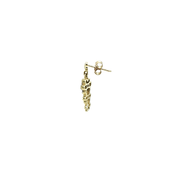 Earrings with Zircones in Gold