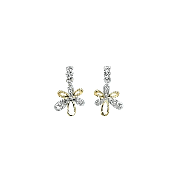 Earrings with Zircones in Gold