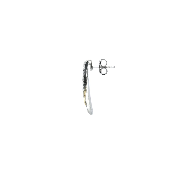 Earrings with Zircones in Gold