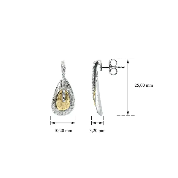 Náušnice se Zirkony z Kombinovaného Zlata