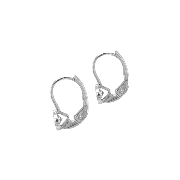 Gold Earrings with Zircons