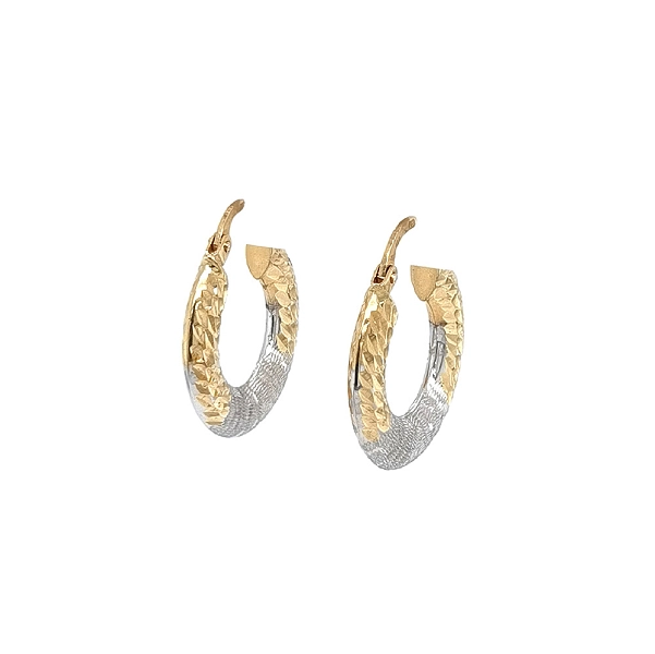 Elegant Two-Tone Gold Hoop Earrings