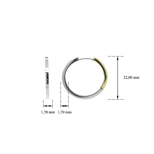 Kruhové Náušnice z Kombinovaného Zlata