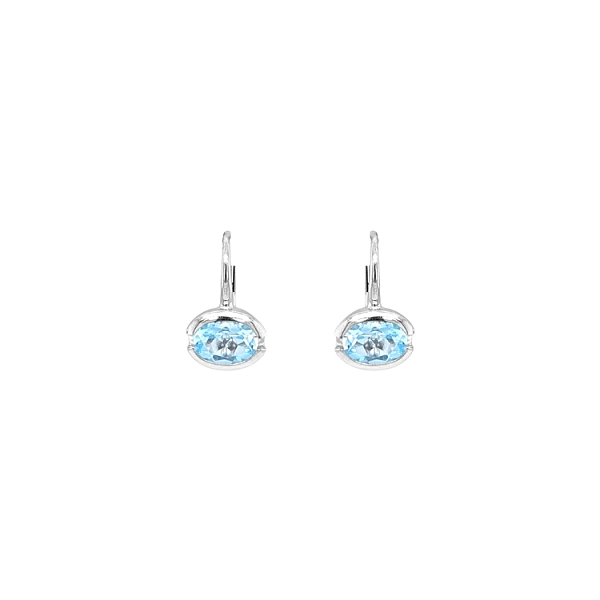 Gold Earrings with Zircons