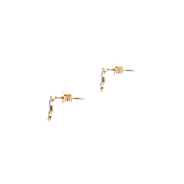 Golden Dolphin Earrings with Zircones
