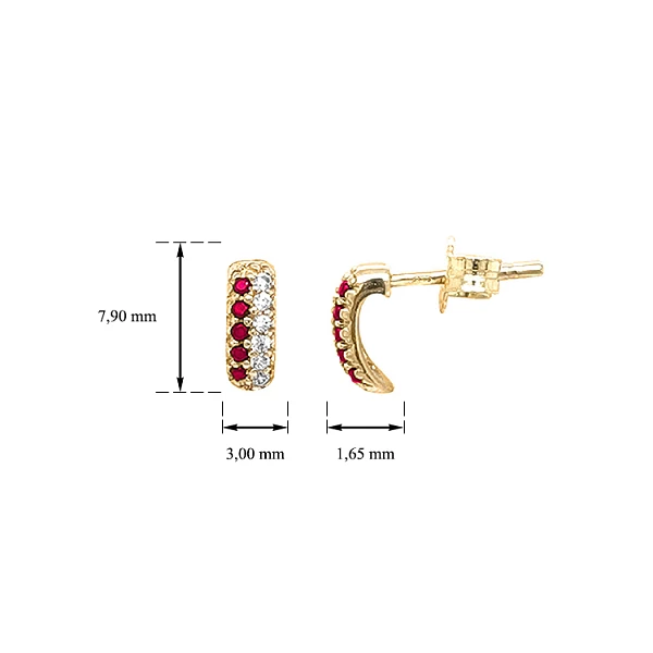 Gold Earrings with Zircons