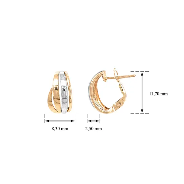 Náušnice z Kombinovaného Zlata