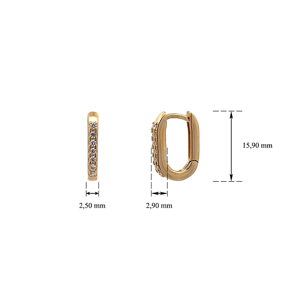Gold Earrings with Zircons