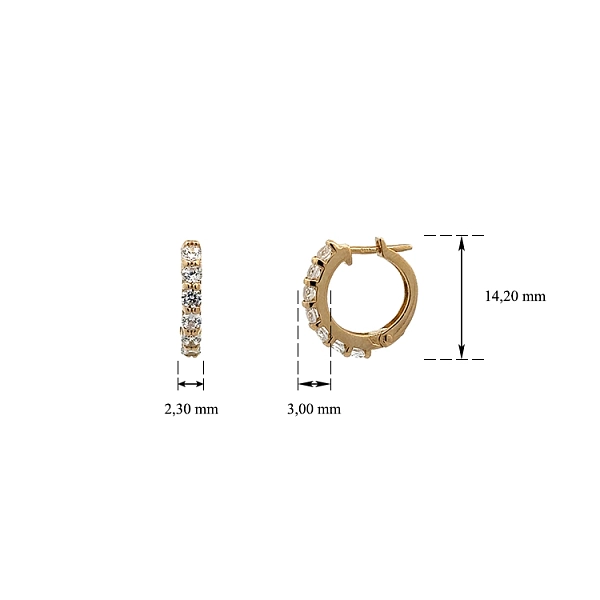 Gold Circular Earrings with Zircons