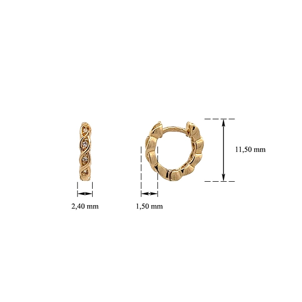 Gold Circular Earrings with Zircons