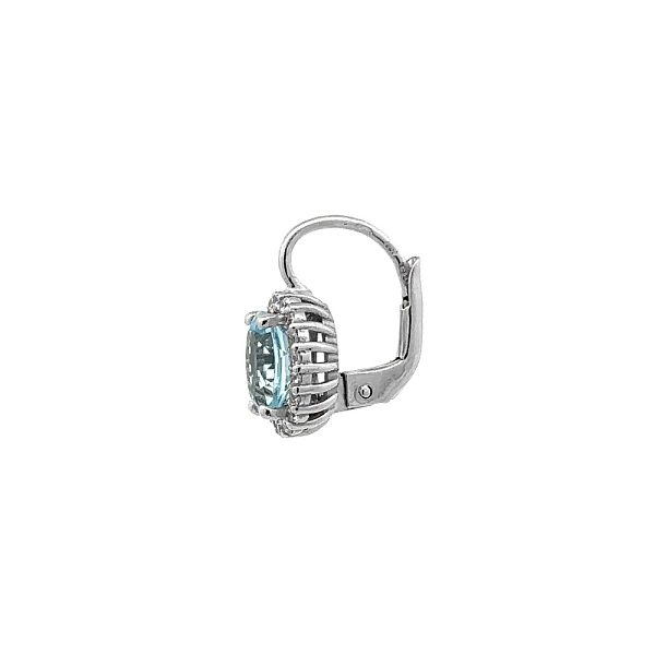 White Gold Topaz Earrings