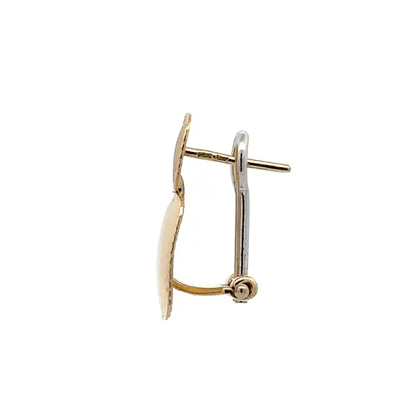 Náušnice z Kombinovaného Zlata