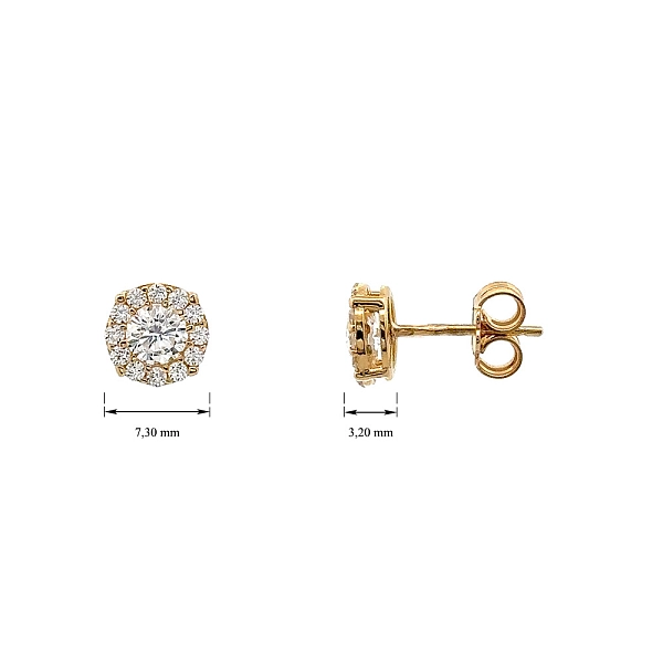 Gold Pecky Earrings with Zircones