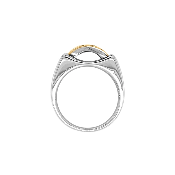 Gold Ring with Zircons