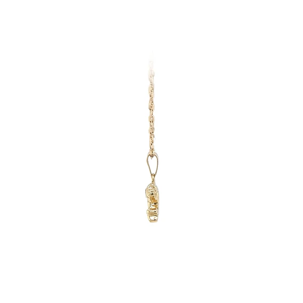 Golden Dolphin Pendant with Zircones
