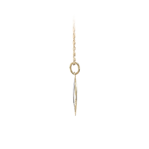 Medallion of the Virgin Mary - Elegance of Combined Gold