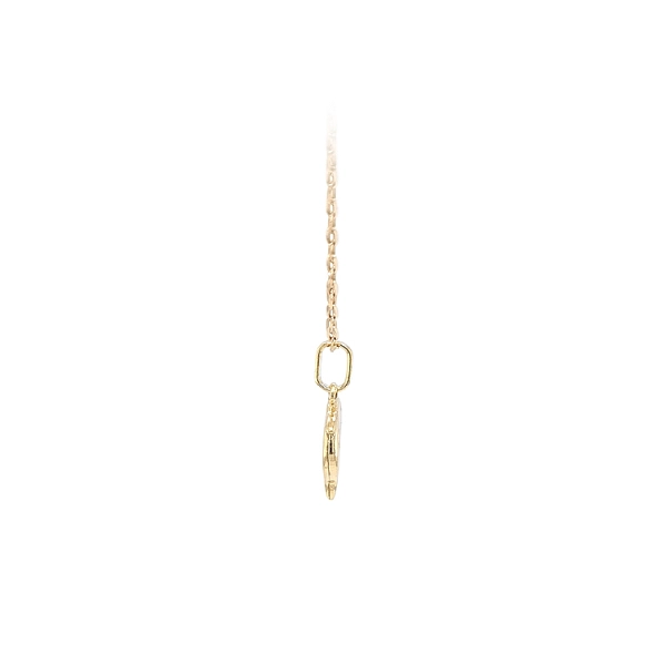 Golden Dolphin Pendant