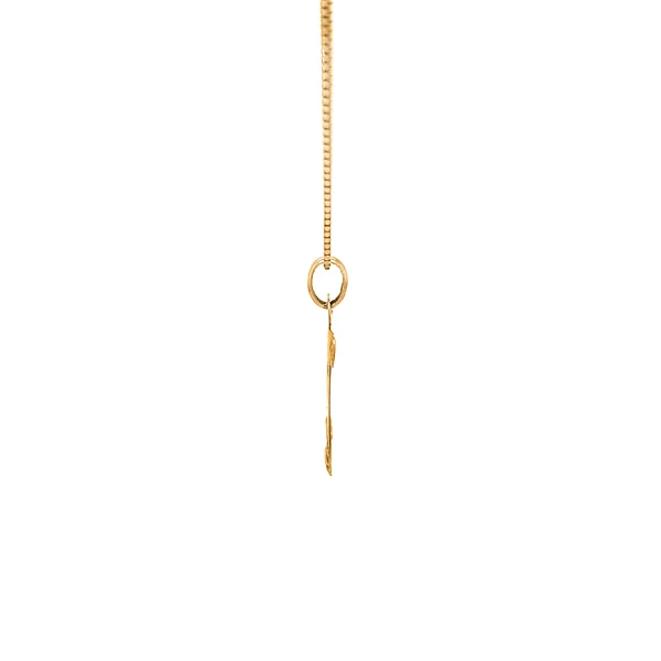 Gold Pendant Aquarius