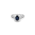 Gold Ring Crivelli with Sapphire and Diamonds