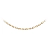 Golden Anker Chain