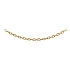 Golden Anker Chain