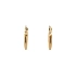 Gold Round Earrings