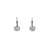 Earrings with White Gold Zircons