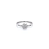 Ring with White Gold Zircons
