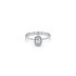 Ring with White Gold Zircons