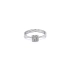 Ring with White Gold Zircons